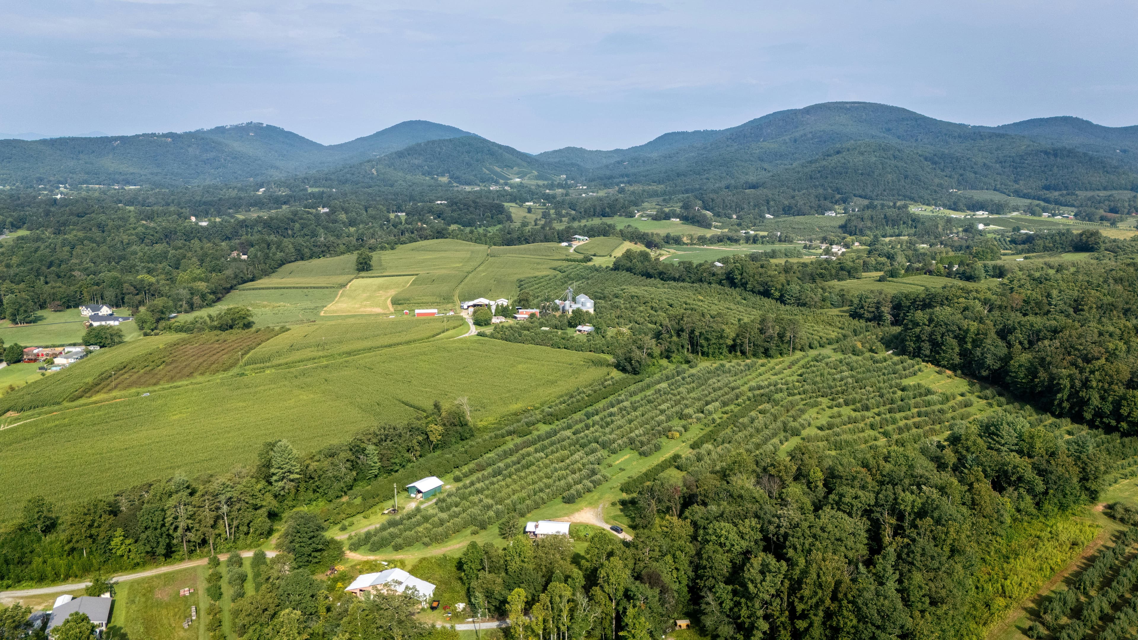 Western NC Local Farmers and Producers